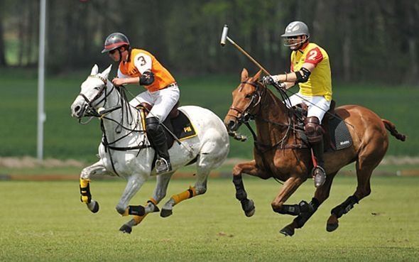 BMW Polo Cup Gut Basthorst 01.-11. Mai 2014